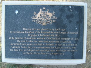 Lone Pine Plaque - Courtesy Jan Coffey